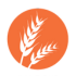 Gluten