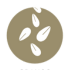 Sésamo