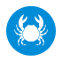 Crustaceos